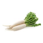 Daikon radishes isolated on white background