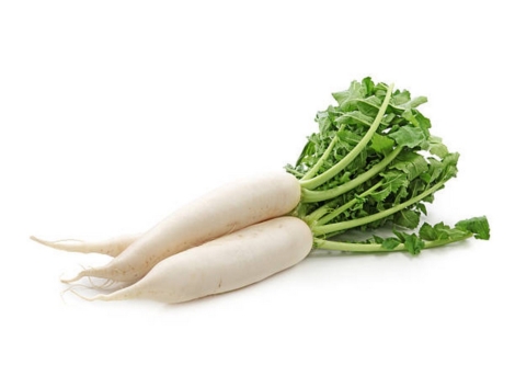 Daikon radishes isolated on white background