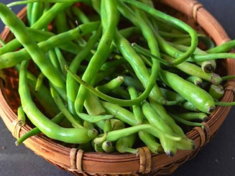 440a419fd2eb7e45734f0db063765941