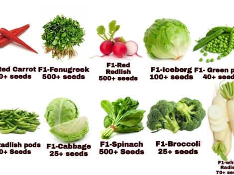 e389c2d6b425629ba7c9dea814090fa8